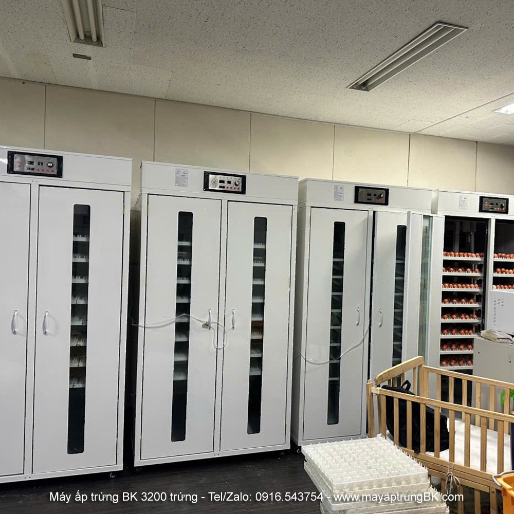 Máy ấp trứng 3000 trứng công nghiệp