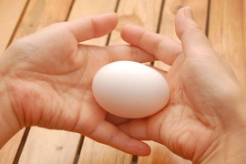 Tầm quan trọng của việc đảo trứng khi ấp trứng bằng máy